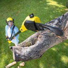 Best Aeration Services  in Seminole, TX